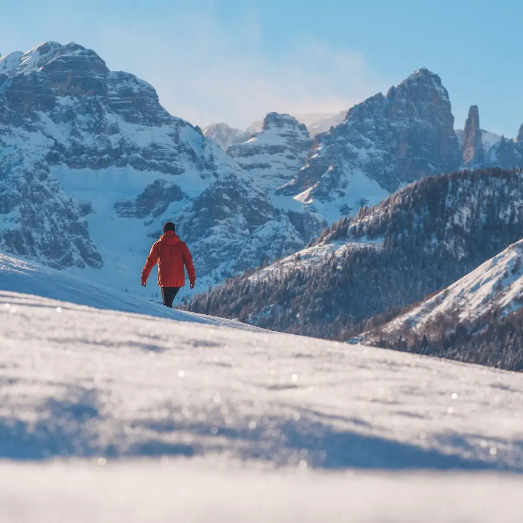 Dolomiti essence